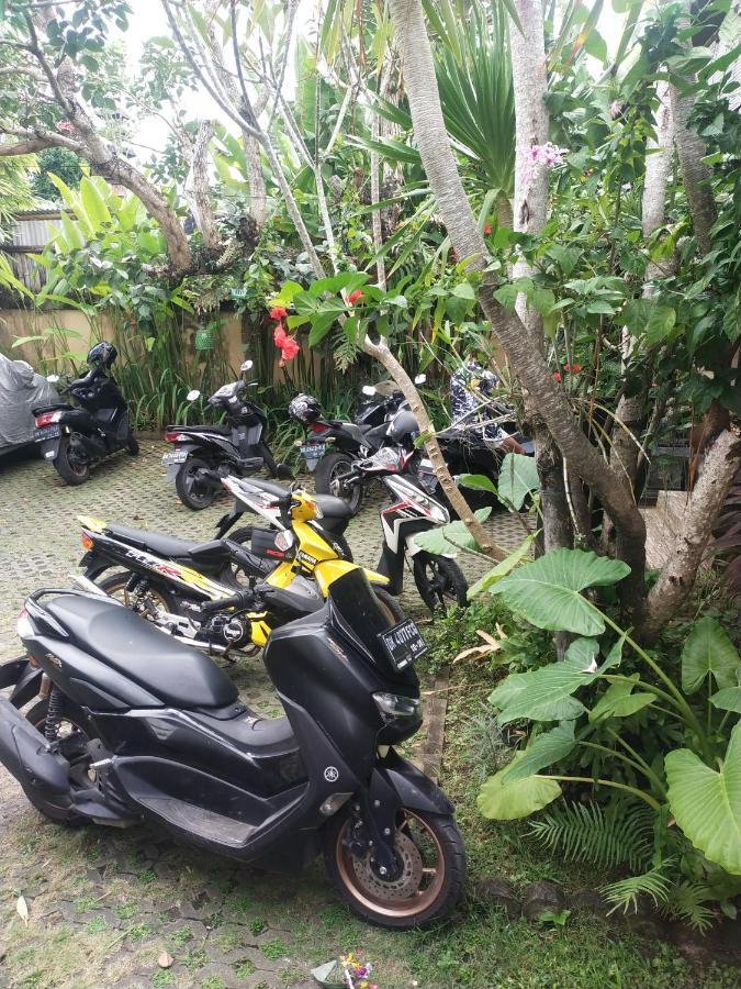 Comeback Guesthouse Canggu  Exterior photo