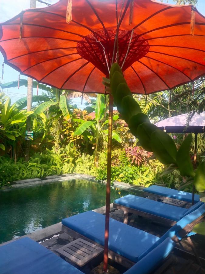 Comeback Guesthouse Canggu  Exterior photo