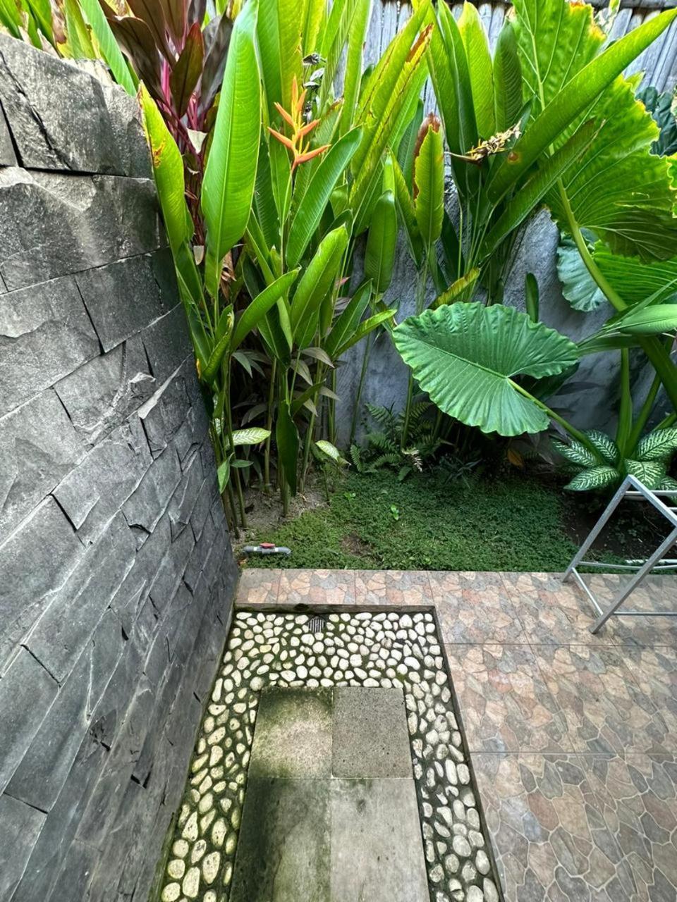 Comeback Guesthouse Canggu  Exterior photo